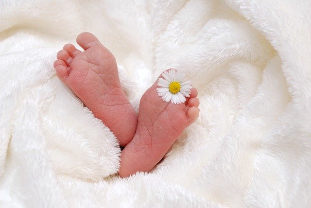 赤ちゃんの足裏と花