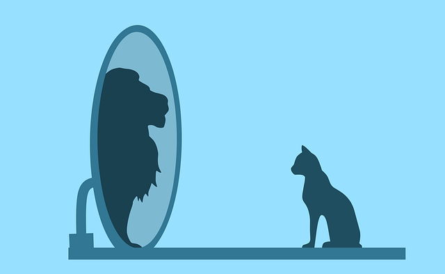 猫と鏡に映ったライオン